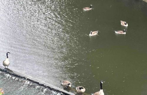 Cityfront Modern Apt Near City Centre/Etihad, Free Parking - Foto 21