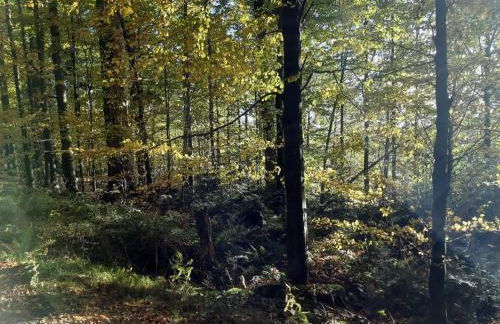 Ferienwohnung Bärnbachl - Foto 16