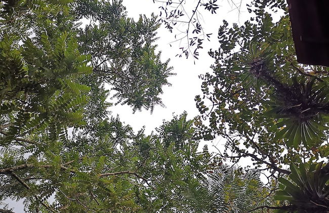 Las Cabanas - Foto 79