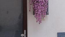 Vacanza alla Chiesa Diruta - Photo 4