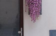 Vacanza alla Chiesa Diruta - Photo 4