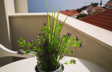 Anic Apartments Stanići - Foto 1