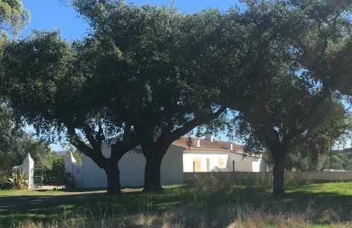 HORTA do RAMALHAÕ - Foto 1