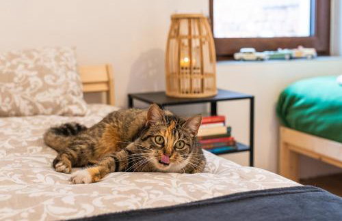 Agroturystyka Świętego Józefa - Foto 39