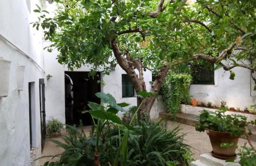 Las Jimenas - Foto 8