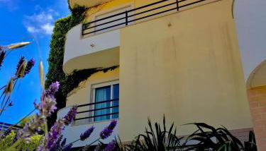 Sleep & Surf Ericeira - Portugal - Foto 5