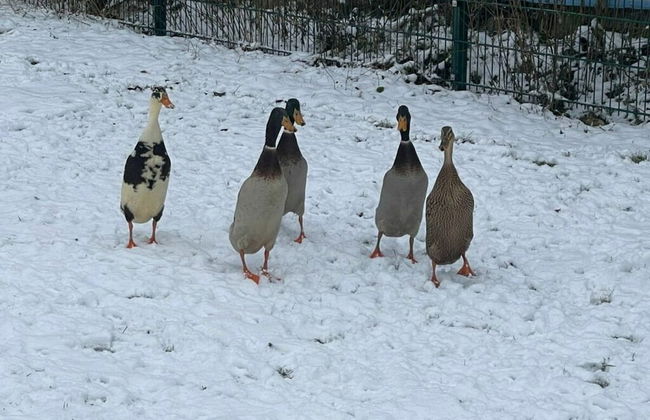 Charming Apartment in Himmelkron - Foto 16