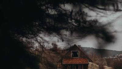 Mech i brzoza - Foto 4