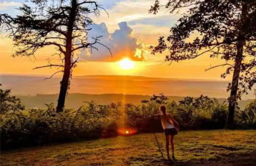 Big Yard Family Getaway - Pets OK - Grill and Hike - Foto 15