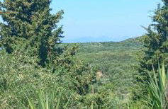 ZOGRAFOS SPIROS Rooms - Foto 28