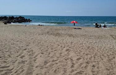 Le rivage - Photo 2