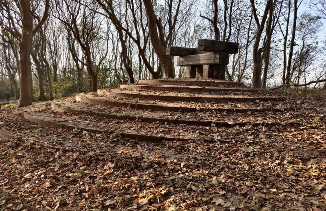 Traditional Villa With Dishwasher on Texel Near the Sea - Foto 30