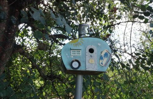 Monte Papa Figos - Foto 33