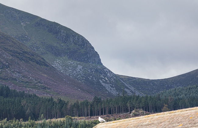 The Views - Photo 28