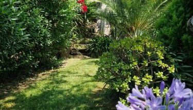 Villa Olivia - Photo 5, Garden, Garden view