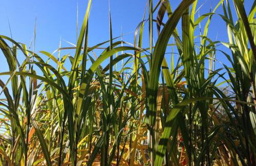 Ferienhaus in Tannesberg for 4 Personen - Foto 33