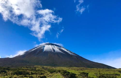 Adega da Prainha - Photo 34