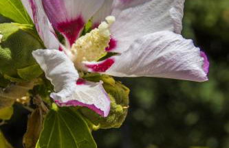 AGRITURISMO Case Catalano - Foto 16