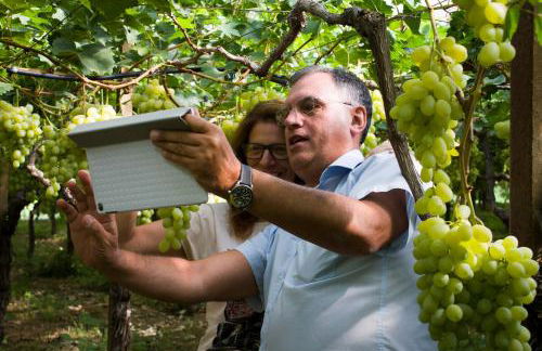 Masseria Marico - Foto 18