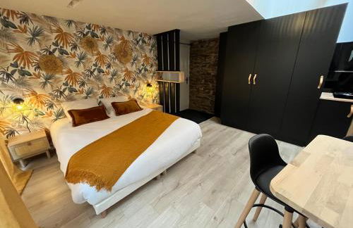 Rouzic - Studio Appart Hôtel - Photo 1