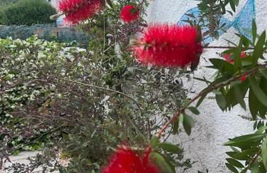 Casa Blava Beach House - Foto 44