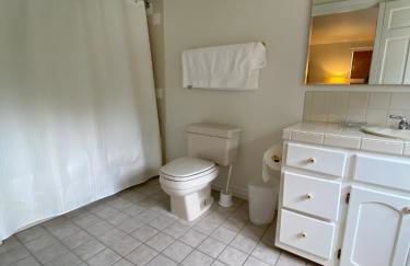 Rare 3BR House - Boise's Historic Geothermal Corridor - Foto 30