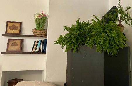 Apartamento en villa bellavista - Foto 8
