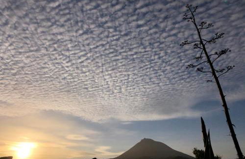 Ocean View Pico - Photo 49