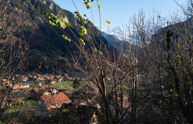 Pristine Home in a Charming Village, Large Grassy Sunbathing Area, View of the Mönch and Jungfrau - Foto 30