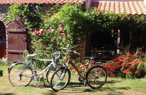 Gîte Accessible avec Jardin Fleuri près de Pornic, Éco-rénové et Équipé (Vélos, WiFi, Cheminée) - FR-1-306-957 - Foto 36