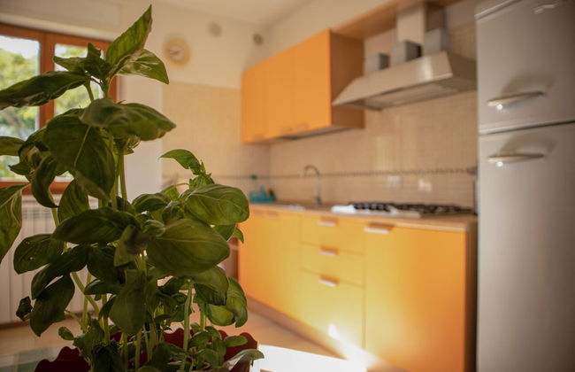 Sogno di Mare in Lido Riccio - Foto 31