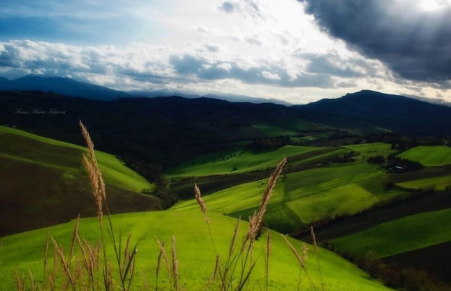 Agriturismo San Michele - Photo 49