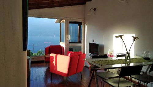 Dos Violetas - Foto 4