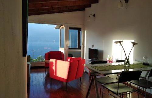 Dos Violetas - Foto 4