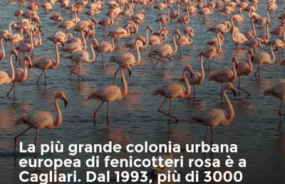 Appartamento Carino Splendido Trivano Panoramico IUN S3308 - Photo 32