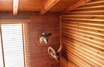 Bungalow B1 em Fão - Ofir by Ana Ferro Rentals - Photo 25