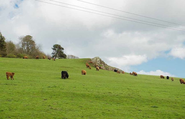 Barn Lodge With Hot Tub Near Cupar, Fife - Foto 17