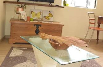 Sonho Paixão - Foto 34