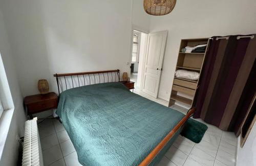 Belle maison quartier Henriville, proche centre - Foto 14