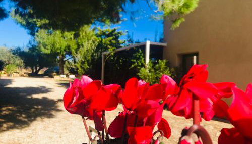 Case Graffeo - Foto 5