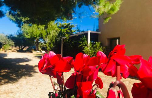 Case Graffeo - Foto 5