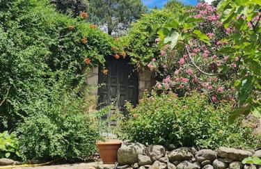 Casa Rural en Candeleda con piscina y un maravilloso jardín - Foto 8