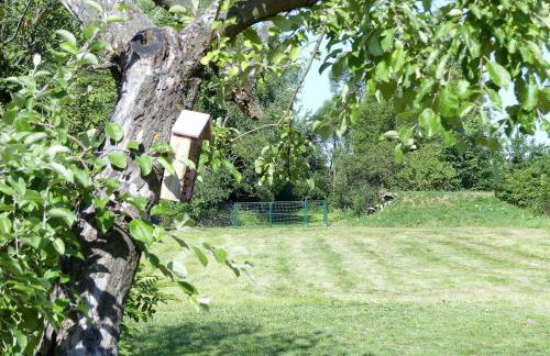 Zielony Domek Plutycze - Foto 28