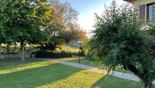 Monte Pagliaio - Foto 3, Garden