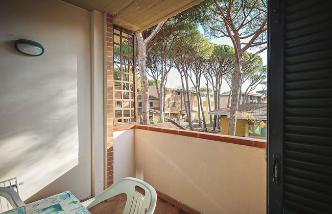 Pineta Azzurra - Foto 70