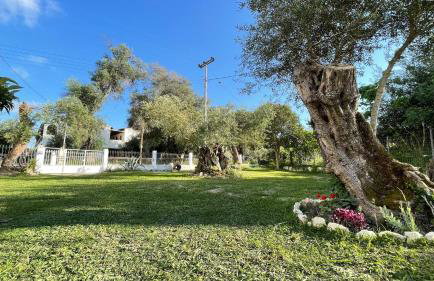 Nine Muses Apartments - Foto 37