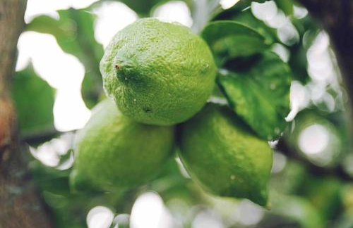 seaview apartment - villa a’more - Photo 19