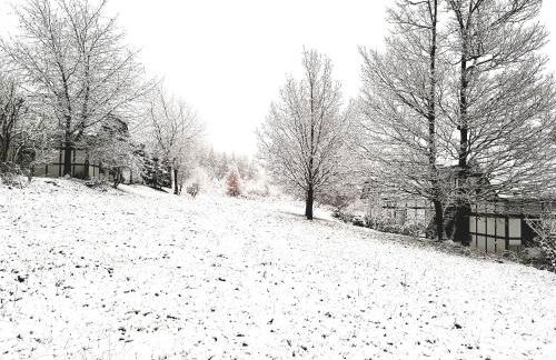 Apartment Am Sternberg 236 - Foto 26