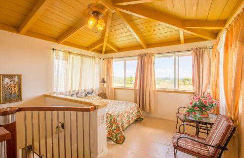 Coconut Palms Vacation Rental near lava fields and beaches - Foto 39