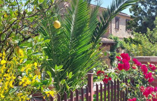 Casale San Martino Agriturismo Bio - Foto 33